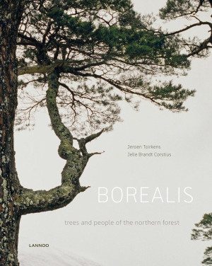 borealis