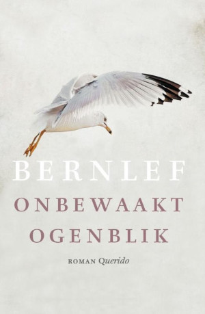 onbewaakt ogenblik