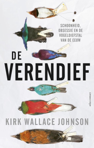 verendief