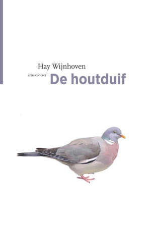 hay