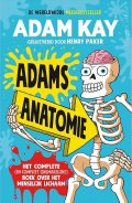 anatomie